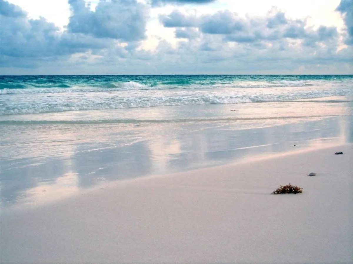 Aparthotel Beachfront Suite With Kitchenette In The Hotel Zone! Cancun